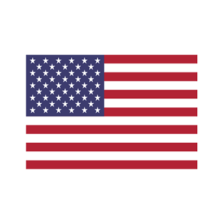 USA flag icon
